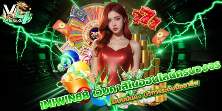 IMIWIN88